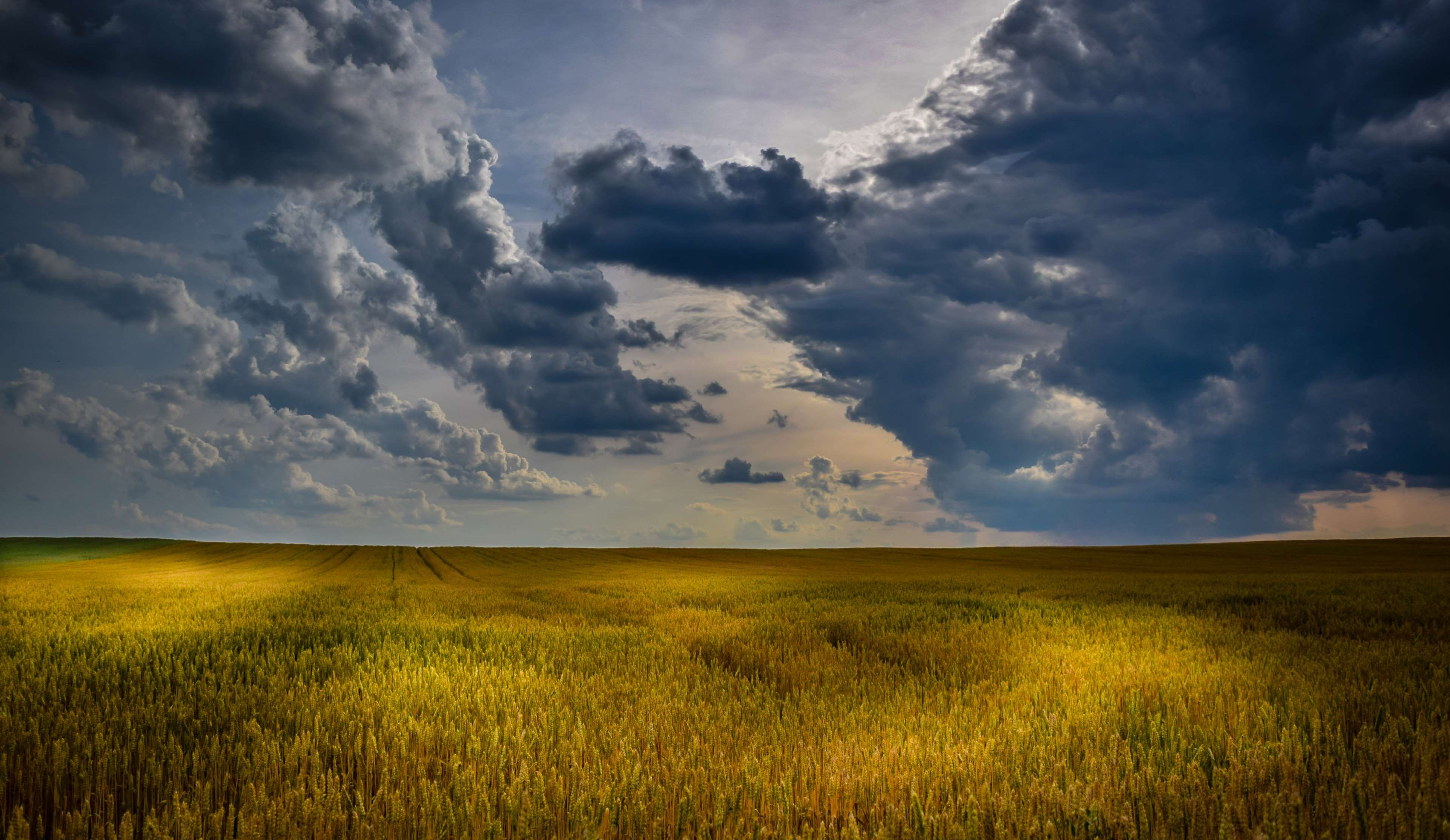 3840x2227-3072793-agriculture_cloudscape_cloudy-skies_countryside_crop_cropland_farm_farming_field_harvest_landscape_light-and-shadow_nature_outdoors_pasture_plains_rural_sky_sunlight_sunset_wheat_yellow 3840x2227-3072793-agriculture_cloudscape_cloudy-skies_countryside_crop_cropland_farm_farming_field_harvest_landscape_light-and-shadow_nature_outdoors_pasture_plains_rural_sky_sunlight_sunset_wheat_yellow