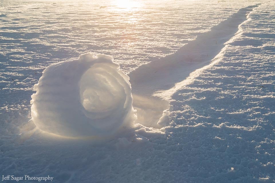 Snow Roller