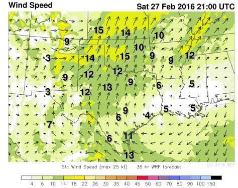 WDT WRF Surface Winds 3pm CST Sunday