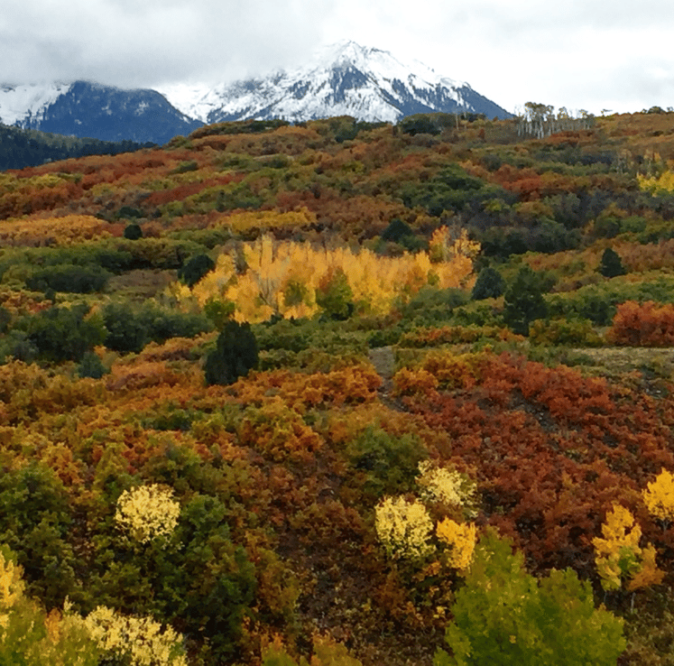 Dallas Divide and Mt. Sneffels