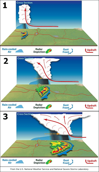 Derecho Development