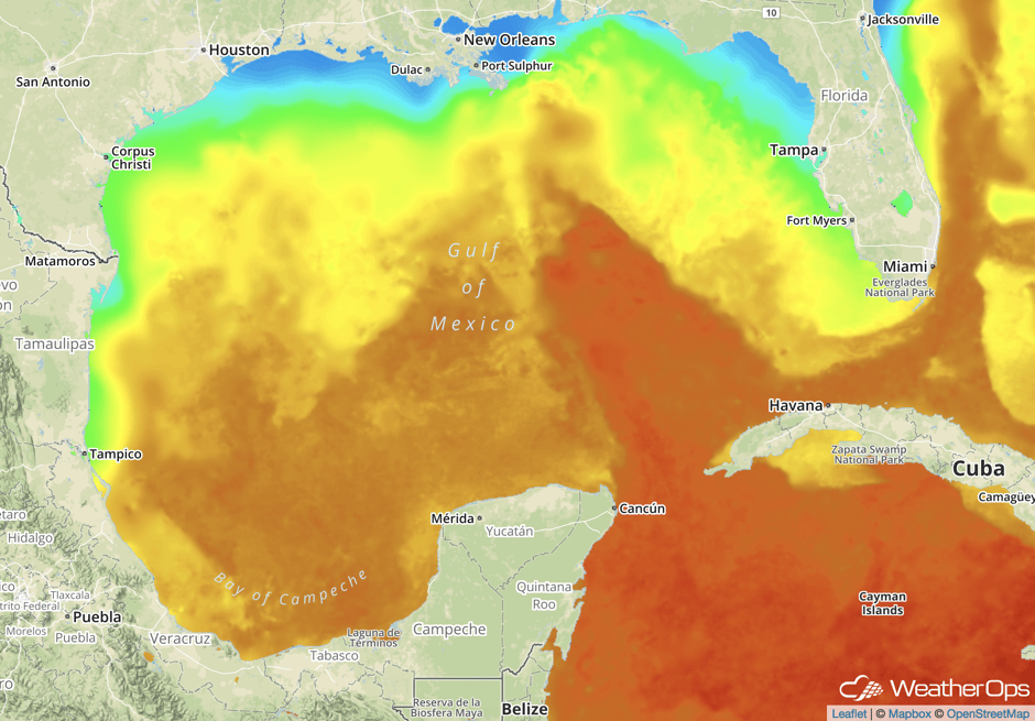 Sea Surface Temps in the Gulf of Mexico