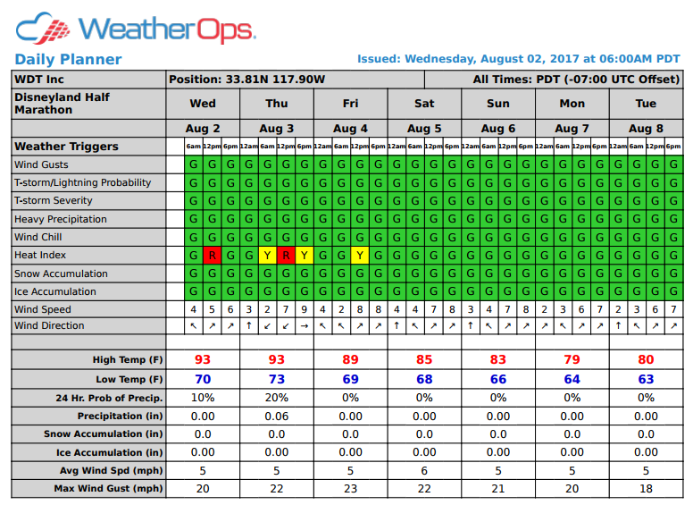 Example of a Daily Planner Forecast