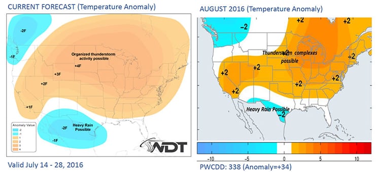 Long Range Forecast