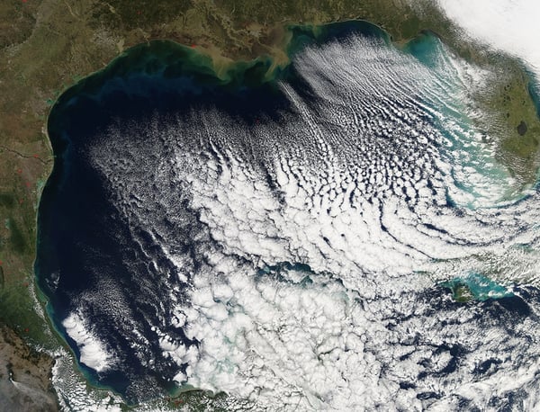 Cloud streets in the Gulf of Mexico in the wake of a cold front, formed by cold and dry air flowing across the warmer waters of the Gulf (Courtesy: MODIS/noaa.gov)