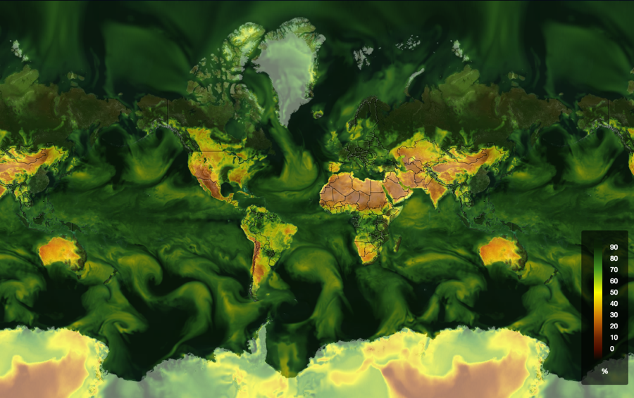 Global Relative Humidity