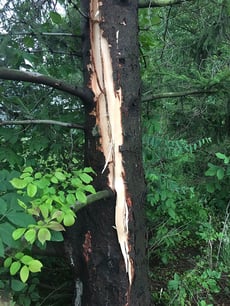 US Open Lightning Damage