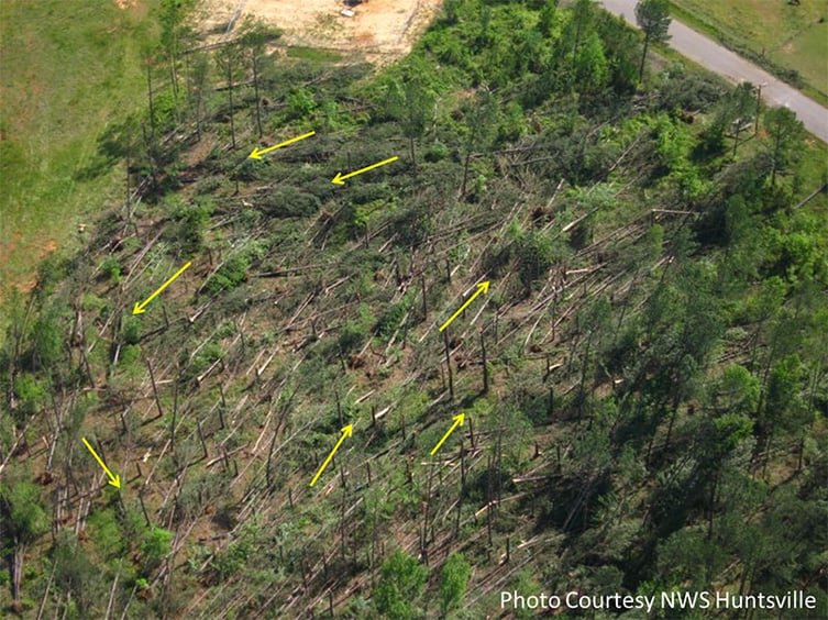 Tornado Damage