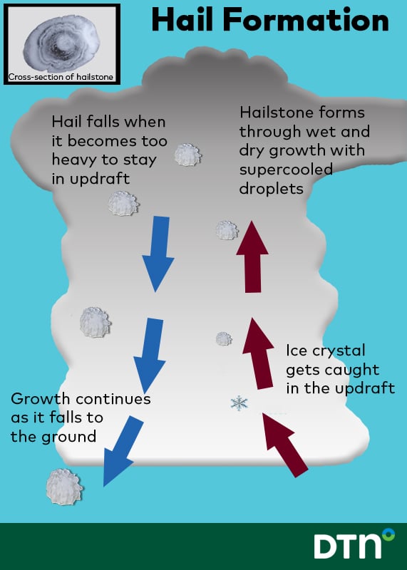 How Hail Forms