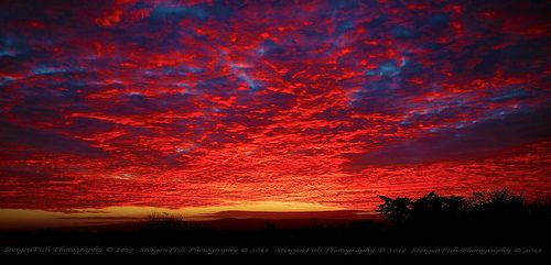 Red Sunset