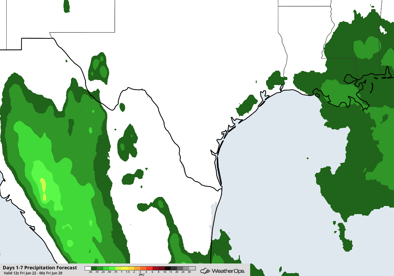 Forecast Rainfall Through 1am CDT June 29