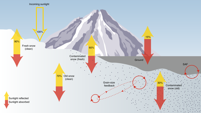 How Does Snow Cover Impact Temperatures?