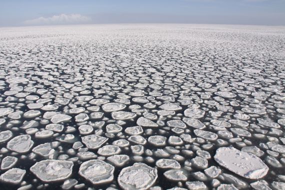 Pancake Ice Seen on Lake Michigan