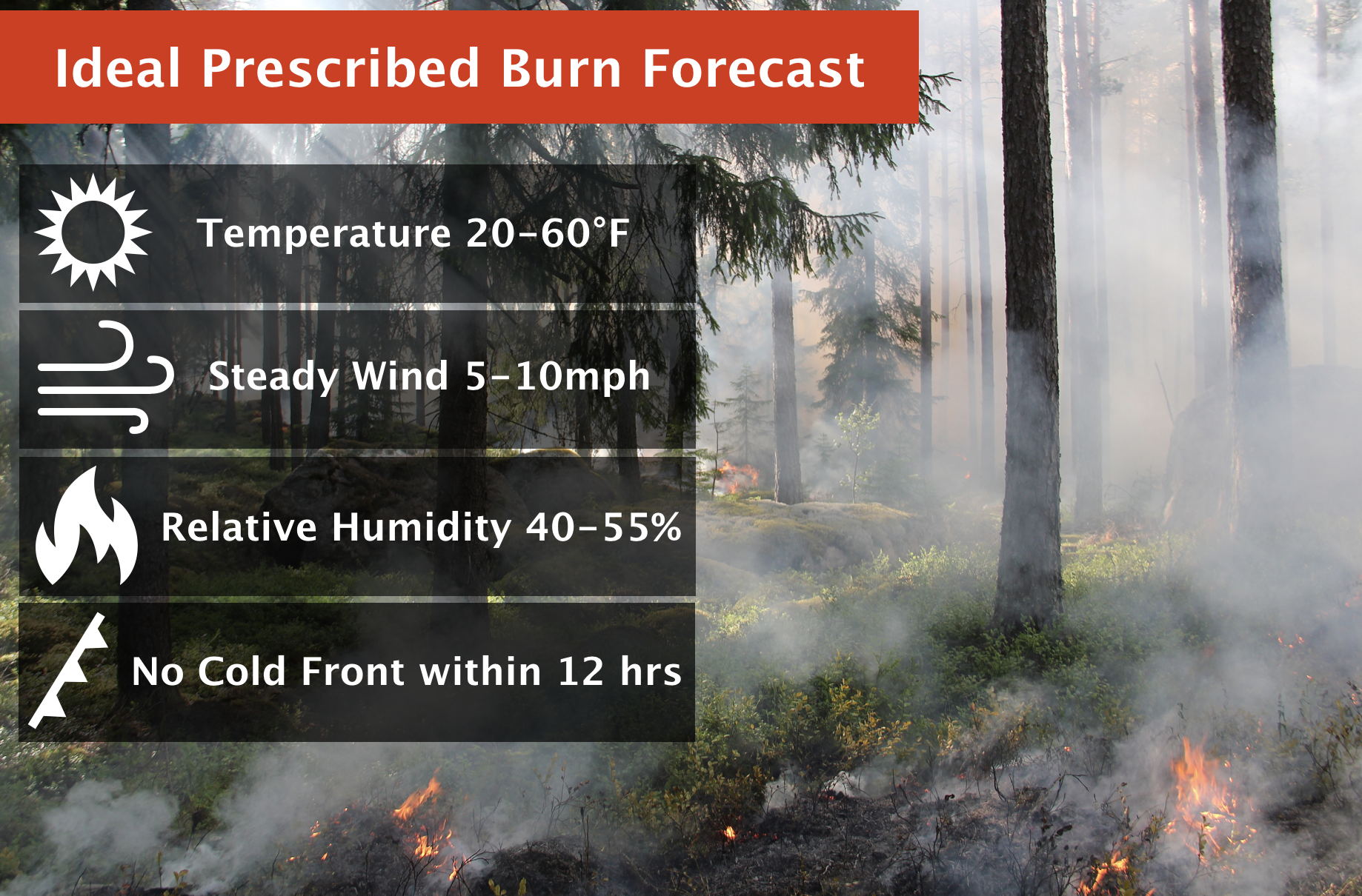 Prescribed Burns: The Good Fires