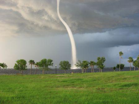 Landspouts and Waterspouts are Tornadoes, Too