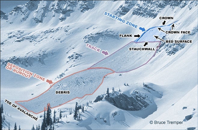 Anatomy of an Avalanche