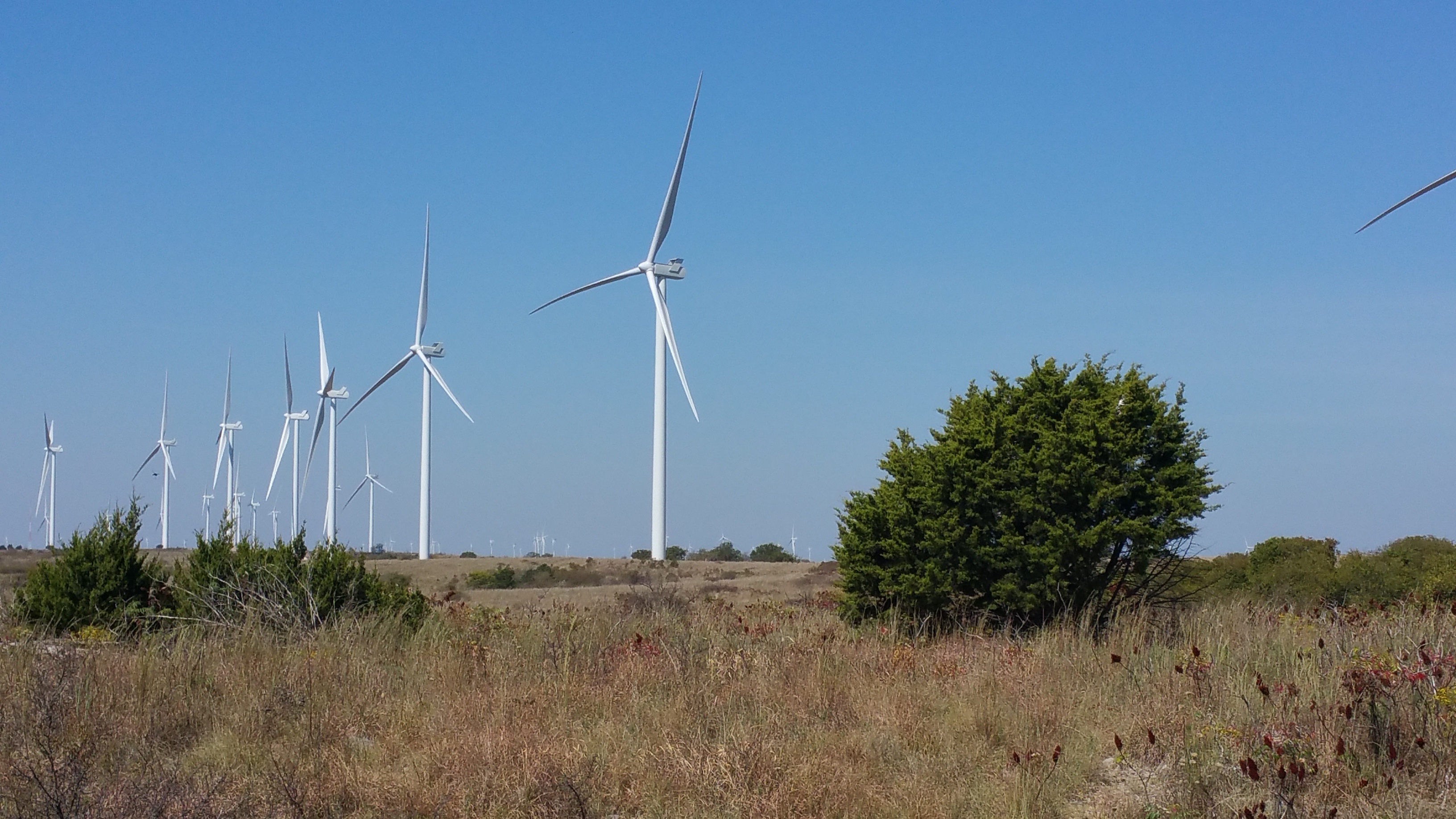 A Windy Endeavour: The Arbuckle Wind Farm