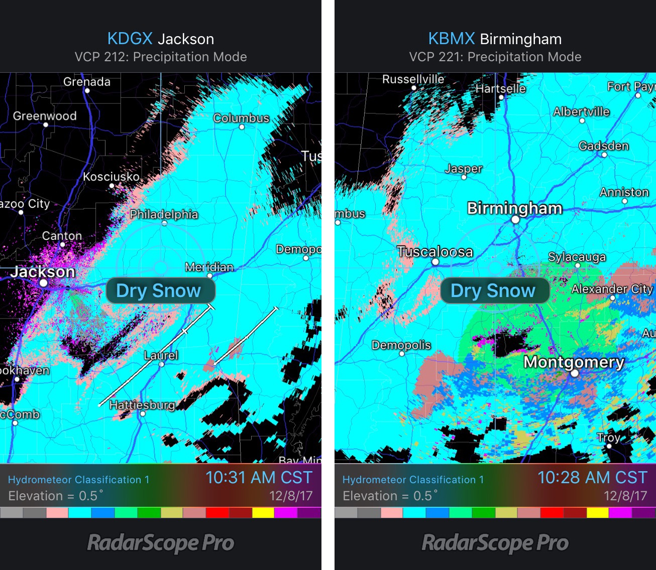 It's a Winter Wonderland in the Deep South as Snow Falls