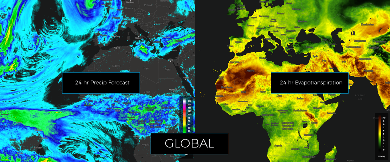 WDT to Release Global Regions of Data