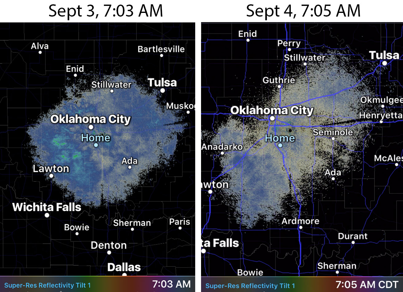 Earthquakes, Birds and Weather Radar