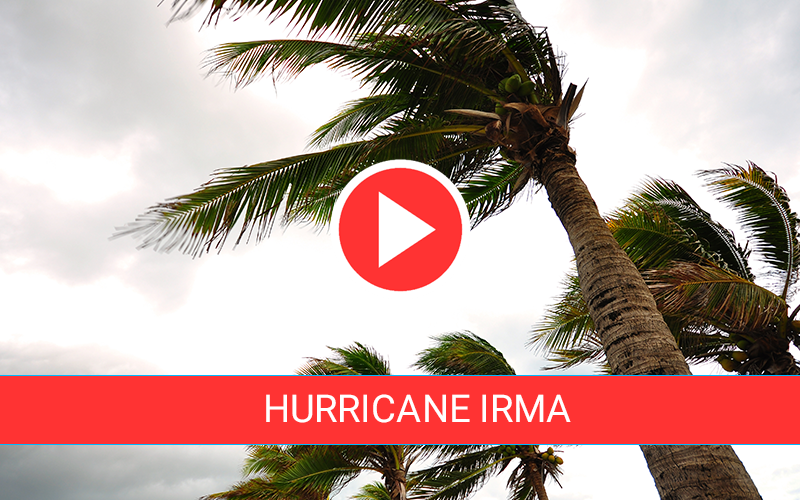 Hurricane Irma Live Feeds