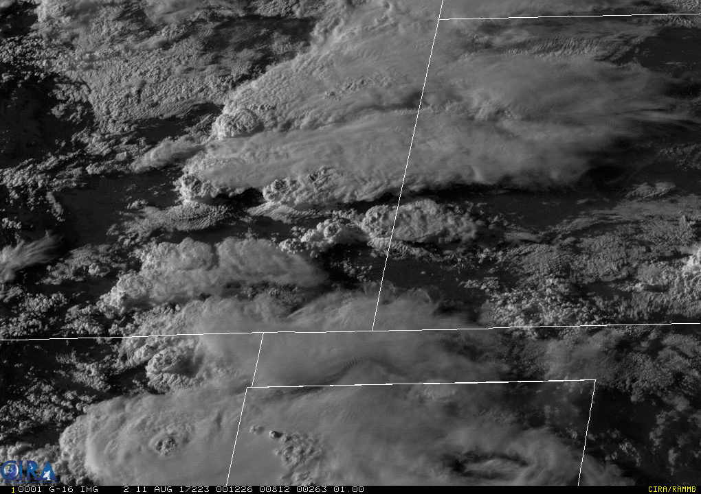 Clouds: The Ever-Changing Sky