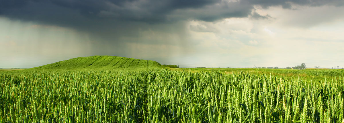 Oklahoma Weather Company Supports Agriculture Industry With New Offering For Agronomists