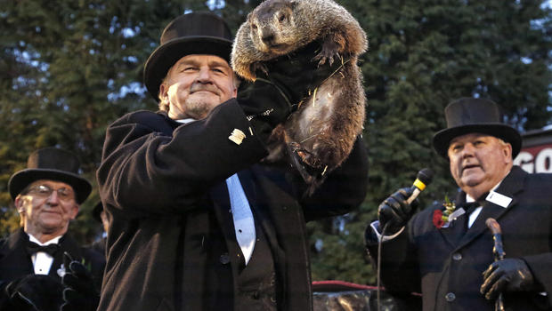 Will Punxsutawney Phil's Shadow Be Visible Tomorrow?